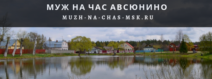 Муж на Час, вызвать мастера в пос. Авсюнино