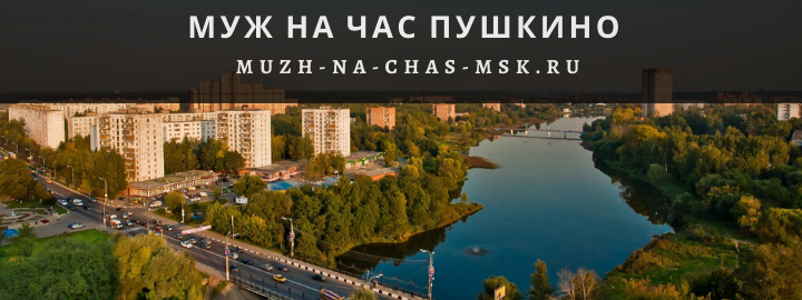 Муж на Час, вызвать мастера в Пушкино