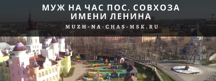 Муж на Час, вызвать мастера в пос. Совхоза имени Ленина
