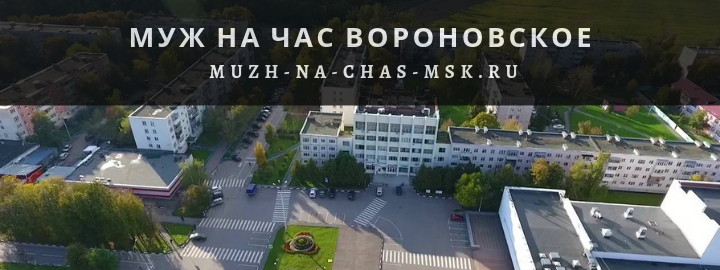 Муж на Час, вызвать мастера в поселении Вороновское
