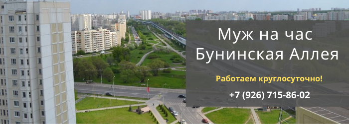Срочный вызов мастера на час на Бунинскую Аллею
