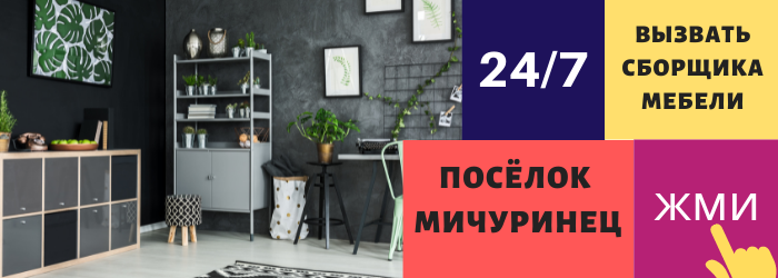 Срочно вызвать сборщика мебели на дом в посёлок Мичуринец
