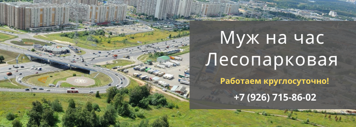 Срочный вызов мастера на час на Лесопарковую