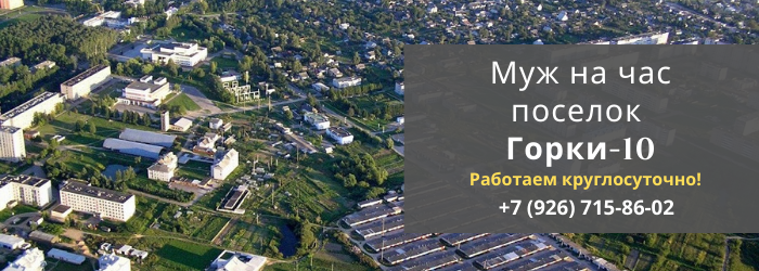 Срочный вызов мастера на час в посёлок Горки-10