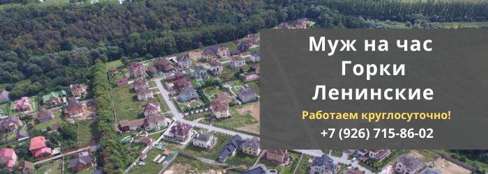 Срочный вызов мастера на час в посёлок Горки Ленинские