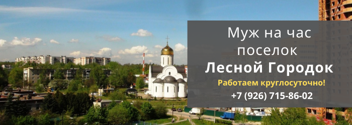 Срочный вызов мастера на час в посёлок Лесной Городок