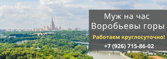 Срочный вызов мастера на час метро Воробьёвы горы