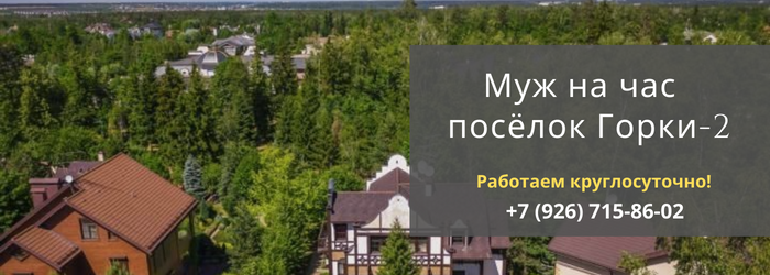 Муж на час, вызвать мастера в посёлок Горки-2